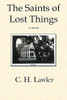 The Saints Of Lost Things