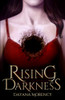 Rising Darkness (The Falling Light Saga)