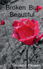 Broken But Beautiful (Hindi Edition)