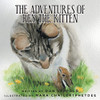 The Adventures Of Rey The Kitten