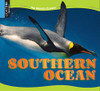 Southern Ocean (WorldS Oceans)