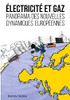 Electricit? Et Gaz : Panorama Des Nouvelles Dynamiques Europ?ennes (French Edition)