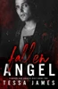 Fallen Angel: Sinners And Angels Duet Book 2