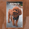 Stormiie: Based on a True Story - Paperback