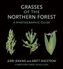 Grasses of the Northern Forest: A Photographic Guide (The Northern Forest Atlas Guides)