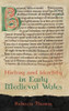 History and Identity in Early Medieval Wales (Studies in Celtic History)