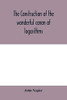 The construction of the wonderful canon of logarithms