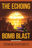 The Echoing Bomb Blast