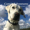 Cora's Adventures: the teenage years