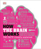 How the Brain Works: The Facts Visually Explained (How Things Work)