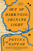 Out of Darkness, Shining Light: A Novel