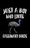 Just A Boy Who Loves Cassowary Birds: Animal Nature Collection