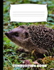 Composition Book: Hedgehog Composition Notebook Wide Ruled