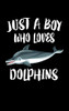 Just A Boy Who Loves Dolphins: Animal Nature Collection