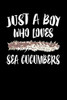 Just A Boy Who Loves Sea Cucumbers: Animal Nature Collection