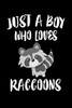 Just A Boy Who Loves Raccoons: Animal Nature Collection