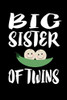 Big Sister Of Twins: Family Collection