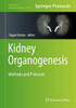 Kidney Organogenesis: Methods And Protocols (Methods In Molecular Biology, 1926)