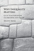 Why Inequality Matters: Luck Egalitarianism, Its Meaning And Value