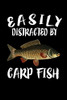 Easily Distracted By Carp Fish: Animal Nature Collection