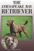 The Chesapeake Bay Retriever: A Complete And Comprehensive Owners Guide To: Buying, Owning, Health, Grooming, Training, Obedience, Understanding And Caring For Your Chesapeake Bay Retriever