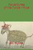 Adventures Of The Turtle - Mule (Turtle - Mule Book Series)