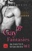 Gay Fantasies Gay Erotik Fsk 18 Kurzgeschichten Vol 2 Taschenbuch Edition 2019 (German Edition)