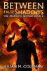 Between False Shadows (The Prophet'S Mother)