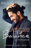 Delicate Balance: A Romance (The Blair Brothers)