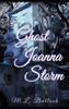 The Ghost Of Joanna Storm (Morgan'S Rock)