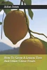 How To Grow A Lemon Tree And Other Citrus Fruits