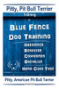Pitty, Pit Bull Terrier Training By Blue Fence Dog Training, Obedience, Behavior, Commands, Socialize, Hand Cues Too Pitty: American Pit Bull Terrier