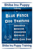 Shiba Inu Puppy Training By Blue Fence Dog Training, Obedience, Behavior, Commands, Socialize, Hand Cues Too! Shiba Inu Puppy Training