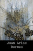 Homo Aerius (Ciencia Ficción Filosófica) (Spanish Edition)