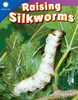 Raising Silkworms (Smithsonian: Informational Text)