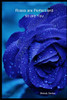 Roses Are Perfect And So Are You - 9781099486791