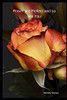 Roses Are Perfect And So Are You - 9781099496394