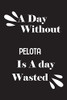 A day without pelota is a day wasted