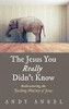 The Jesus You Really Didn'T Know