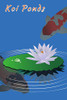 Koi Ponds: Customized Compact Koi Pond Logging Book, Thoroughly Formatted, Great For Tracking & Scheduling Routine Maintenance, Including Water Chemistry, Fish Health & Much More (120 Pages)