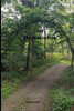 Off The Beaten Path: Cryptoid Monster Adventure Hunting Book - 9781650211039