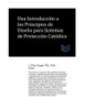 Una Introducción A Los Principios De Diseño Para Sistemas De Protección Catódica: An Introduction To Design Principles For Cathodic Protection Systems (Spanish Edition)