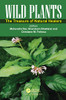 Wild Plants: The Treasure Of Natural Healers