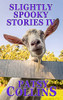 Slightly Spooky Stories Iv: A Collection Of 24 Short Stories
