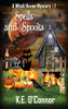 Spells And Spooks (Witch Haven Mystery - A Fun Cozy Witch Paranormal Mystery)