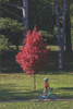 105 Meadowlark Reader: Bicycle Stories