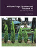 Yellow Flags: Quarantine Volume 10: July 2021-August 2021