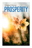 Prosperity: God Has Provided Prosperity For Every Home