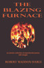 The Blazing Furnace: An Eclectic Collection Of Experimental Poems With Images