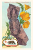 The Vintage Journal California Map With Bear And Poppies (Pocket Sized - Found Image Press Journals)